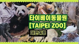 [vlog] 대만여행 | 2600원으로 아시아에서 가장 큰 동물원[TAIPEI ZOO] | 마오콩곤돌라 | 타이베이동물원 | 대만동물원 | 대만추천여행지