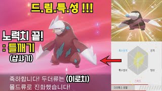 빛부없이 재도전! 틀깨기 드특 두더류 떴다! 노력치작 하고 VS 거대 피카츄 ㅋㅋㅋㅋ [포켓몬 소드실드]