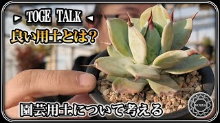 【TOGE TALK】 アガベや多肉植物用土の考え方雑談【多肉植物】【園芸】【ポッドキャスト】