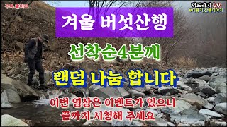 겨울버섯산행 말굽버섯 잔나비버섯