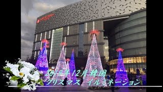 2019年12月 韓国 クリスマス イルミネーション