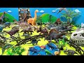 Welcome To The Jurassic Park | DIY Dinosaur Zoo | Tyrannosaurus Spinosaurus Stegosaurus