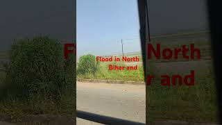 Flood in North Bihar #flood #nature #video #trending