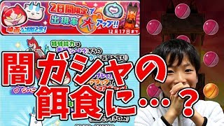 【妖怪ウォッチぷにぷに】子供が不動明王狙って闇ガシャに挑戦した結果…  Yo-kai Watch