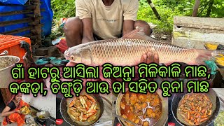 ଗାଁ ହାଟରୁ ଆସିଲା ଜିଅନ୍ତା ମିଳିକାଳି ମାଛ, କଙ୍କଡ଼ା, ଚିଙ୍ଗୁଡ଼ି ଆଉ ତା ସହିତ ଚୁନା ମାଛ।#villagecooking #nonveg