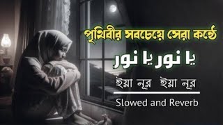 নাশিদঃ ইয়া নূর ইয়া নূর। বিখ্যাত আরবি নাশিদ  বাংলা অনুবাদ সহ। Rehman Ya Rehman