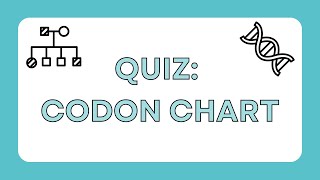 Quiz: Codon Chart