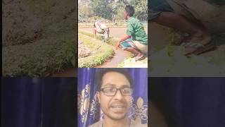 চাচা কি করলো #youtubeshorts #funny #comedyvideos