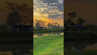 மறுமை நாளின் அடையாளங்களில் ஒன்று #tamilbayan #islamicshorts #tamilbayan #islamicvideo