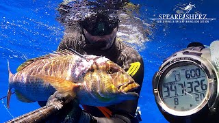 Dentex from 35m - dive time 3:26 - Denis Salamon - Deep Spearfishing in Malta | SPEARFISHERZ | 2.7K