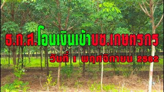 ชาวสวนยางเฮ ธ.ก.ส. โอนเงินเข้า บช. วันที่ 1 พ.ย. 2562 งวดแรก