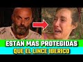 😱FEO COMENTARIO Gines Corregüela COMPARA a las MUJERES con la PROTECCION del LINCE IBERICO