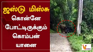 ஜஸ்டு மிஸ்சு - கொன்னே போட்டிருக்கும் கொம்பன் யானை | Elephant | komban elephant