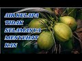 Orang dengan 5 Kondisi Ini Sebaiknya Jangan Minum Air Kelapa awas bisa mengancam nyawa