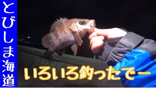 #10 相変わらずとびしまはよく釣れるなぁ。