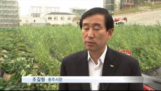 충주MBC 140806 충주 말 레저센터 논란 종지부