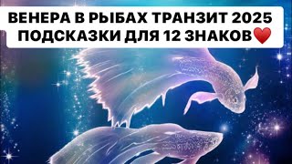 ВЕНЕРА В ЭКЗАЛЬТАЦИИ 28 ЯНВАРЯ 2025 - 31 МАЯ 2025 ! ПОДСКАЗКИ ДЛЯ 12 ЗНАКОВ.