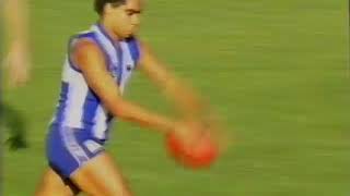 1993 Round 22 AFL News Highlights of North Melbourne Vs Footscray