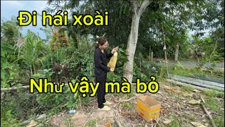 Xoài như vậy mà bỏ không chịu lấy cho lại luôn ăn gì hết