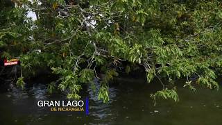 CONOCIENDO EL LAGO DE NICARAGUA