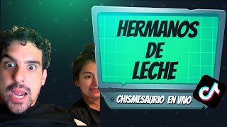 Hermanos de leche // Chismesaurio en vivo