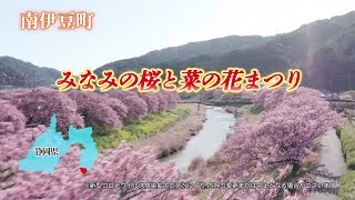 「みなみの桜と菜の花まつり」2023 開催篇