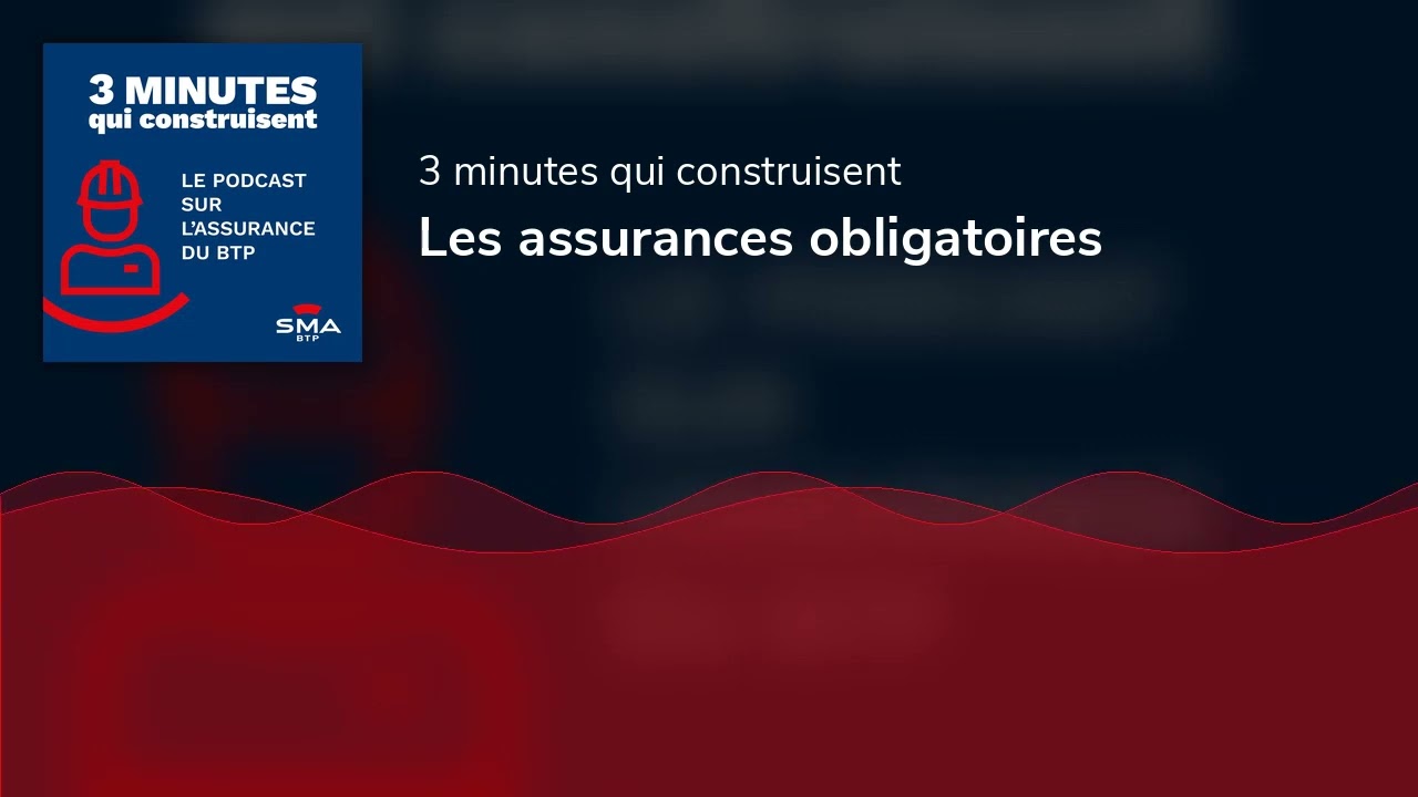 Les Assurances Obligatoires - YouTube