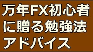 FXで勝てない哀れな初心者に贈る専業トレーダーの勉強法アドバイス