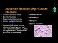 LEUKEMOID REACTION 4TH YR