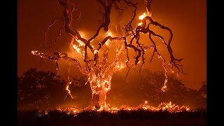 Photographing Wildfire, Webinar with Jerry Dodrill