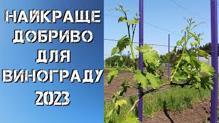 Найкраще добриво для винограду 2023