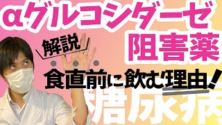 【解説】★糖尿病★αグルコシダーゼ阻害薬の正しい飲み方を現役薬剤師が解説します