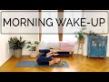 Morning Yoga | Bed-Head Wake-Up | Gentle Intermediate | 50 min | Cat de Rham | Online Yoga Teaching