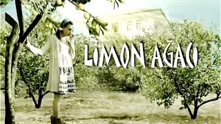 Limon Ağacı (Jenerik)