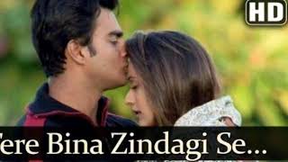 Tere Bina Zindagi Se Koi | Lyrics Song | Dil Vil Pyar Vyar (2002)