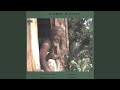 Every Downfall -Version