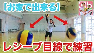 【自宅でレシーブ体験できちゃう！！】バーチャル球出し受けてみた！！【バレーボール】