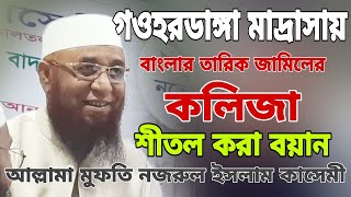 গওহরডাঙ্গা মাদ্রাসায় বাংলার তারিক জামিলের কলিজা শীতল করা বয়ান|আল্লামা মুফতি নজরুল ইসলাম কাসেমী|