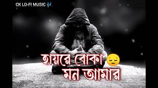 হায়রে বোকা মন আমার | Hay re boka mon amar | Trending song | bangla sad song | 2024 new song | lofi