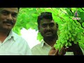 आयडियल फार्मर द्राक्ष बागायतदार नितीन तोडकर ideal farmer viticulturalist nitin todkar