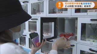 「非接触」で農産物を販売…枝豆選果場に野菜や果物の自販機を設置　岐阜市