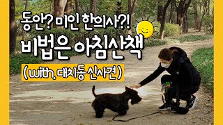 [morning vlog] 강아지와 함께하는 아침 산책 (ft. 산책코스, 산책효능, 산책시간)