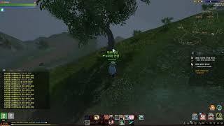 (Archeage) 태초의 요람 절벽에 나무심기