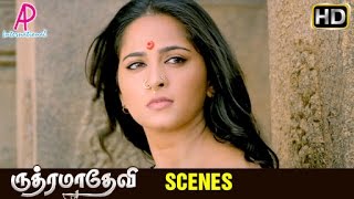 Rudhramadevi Tamil Movie | Scenes | Rana asks Anushka to marry him | Prakash Raj attacked