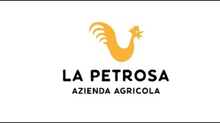 Le aziende dell'Agricoltura Organica e Rigenerativa di Deafal:  La Petrosa di Ceraso