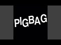 Papa's Got a Brand New Pigbag (12