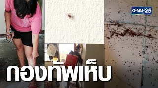 เห็บสุนัขบุกห้องพัก เตรียมล้างทั้งชั้น | เกาะข่าวเที่ยง | GMM25