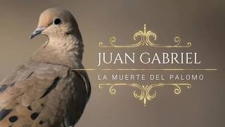 Juan Gabriel - la muerte del palomo (letra)