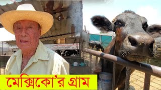 Mexico দেশটির গ্রাম এবং গ্রামীন জীবন। Poor Village in Mexico |