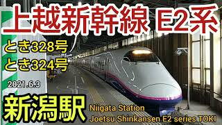 【新潟駅】上越新幹線 E2系 とき ~ JR EAST Joetsu Shinkansen E2 series TOKI at Niigata Station JAPAN（新潟県の鉄道）